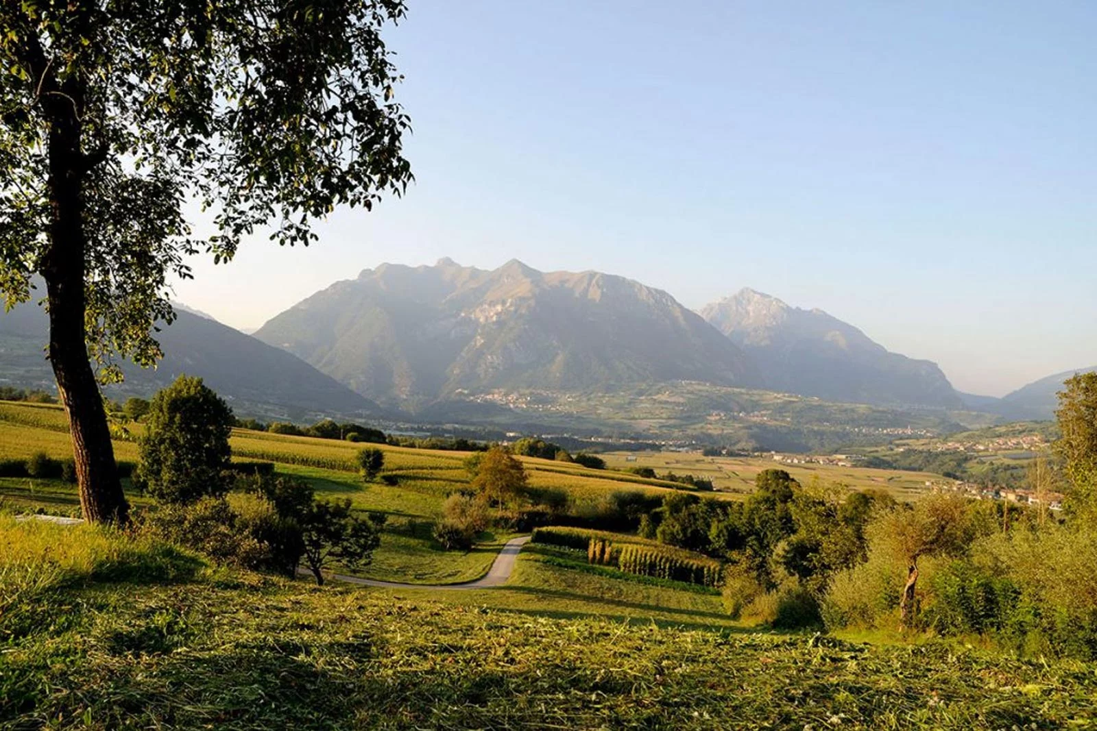 Vital Hotel Flora | © Foto Trentino Sviluppo - foto di B. Bolchi